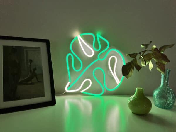 Variegated Monstera 'Alba' floral neon LED lights signs wall art decorations