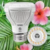 PAR20 10W LED Grow Light Bulb for house plants
