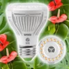 PAR25 15W LED Grow Light Bulb for house plants
